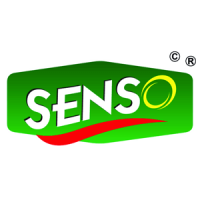 senso